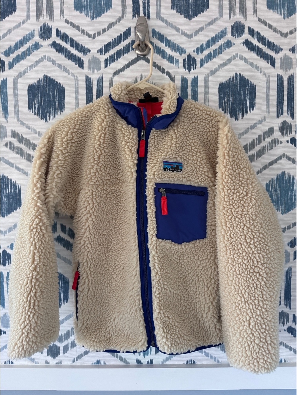 Patagonia Women's Retro-X Fleece Jacket